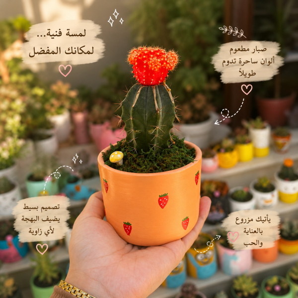 صبار مطعوم في بوت فخار