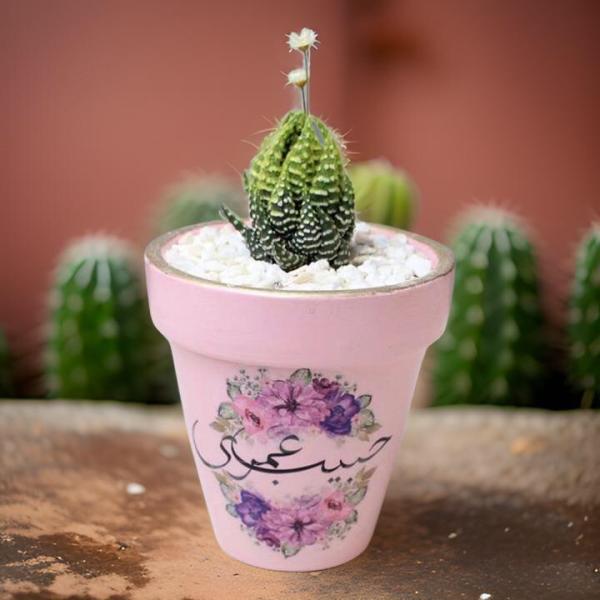 صبار في بوت ملون