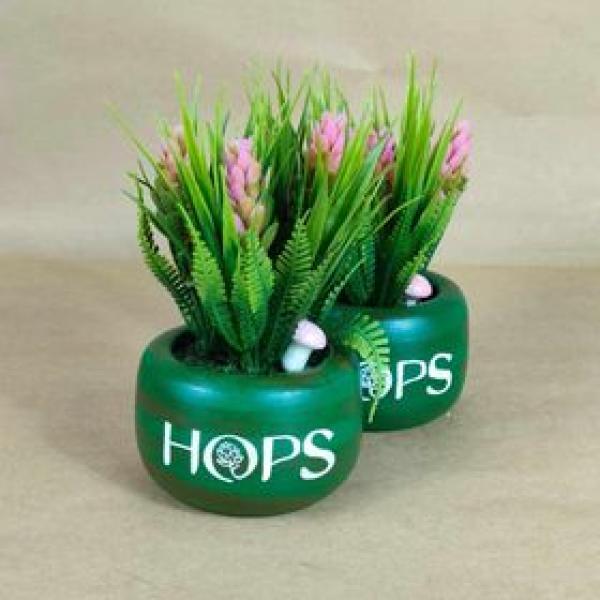 بوت نبات صناعي