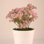 بوت نبات صناعى