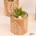 صبار في بوت ملون