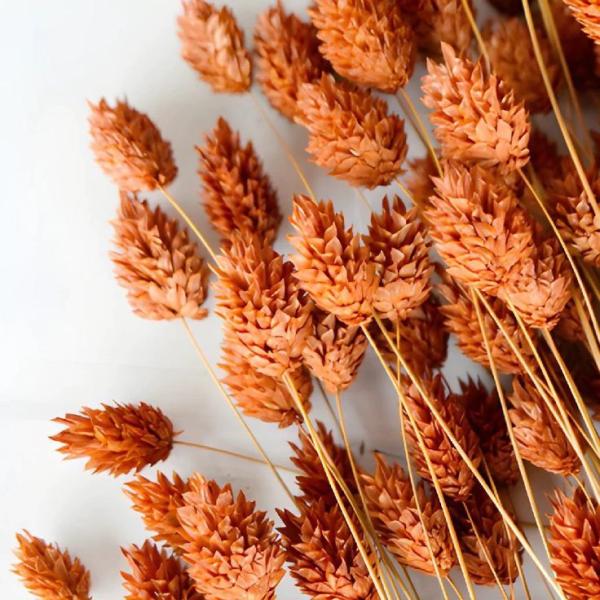 فلارس مجففه