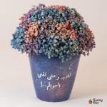 بوت بيبي فلاور