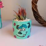 صبار في بوت شلبي