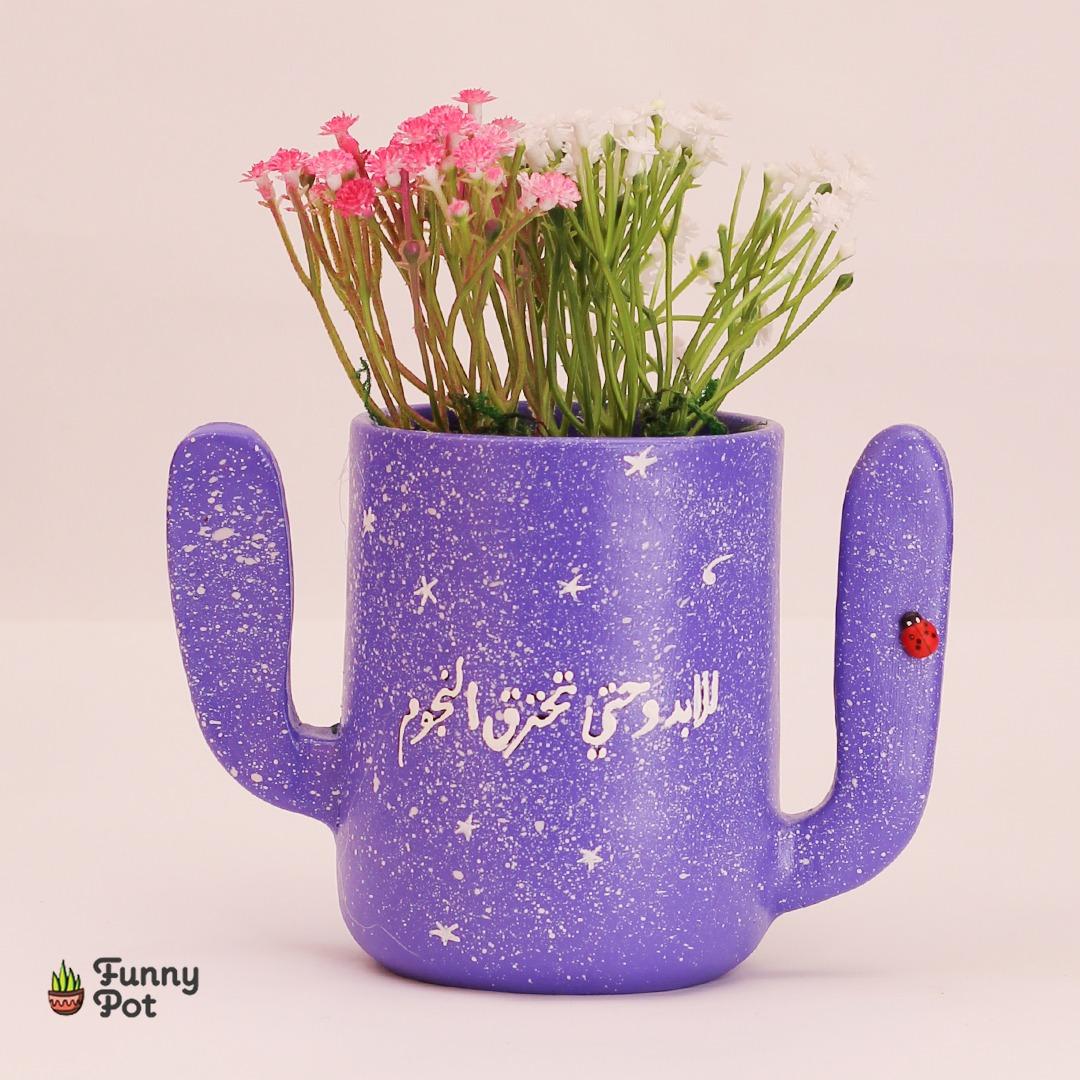 بوت صبارة نبات صناعي