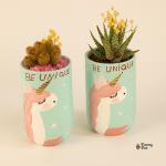 صبار في بوت يوني كورن