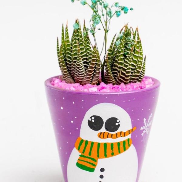 صبار في بوت ملون