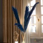 بامبوس مجفف