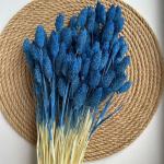 فلارس مجففه