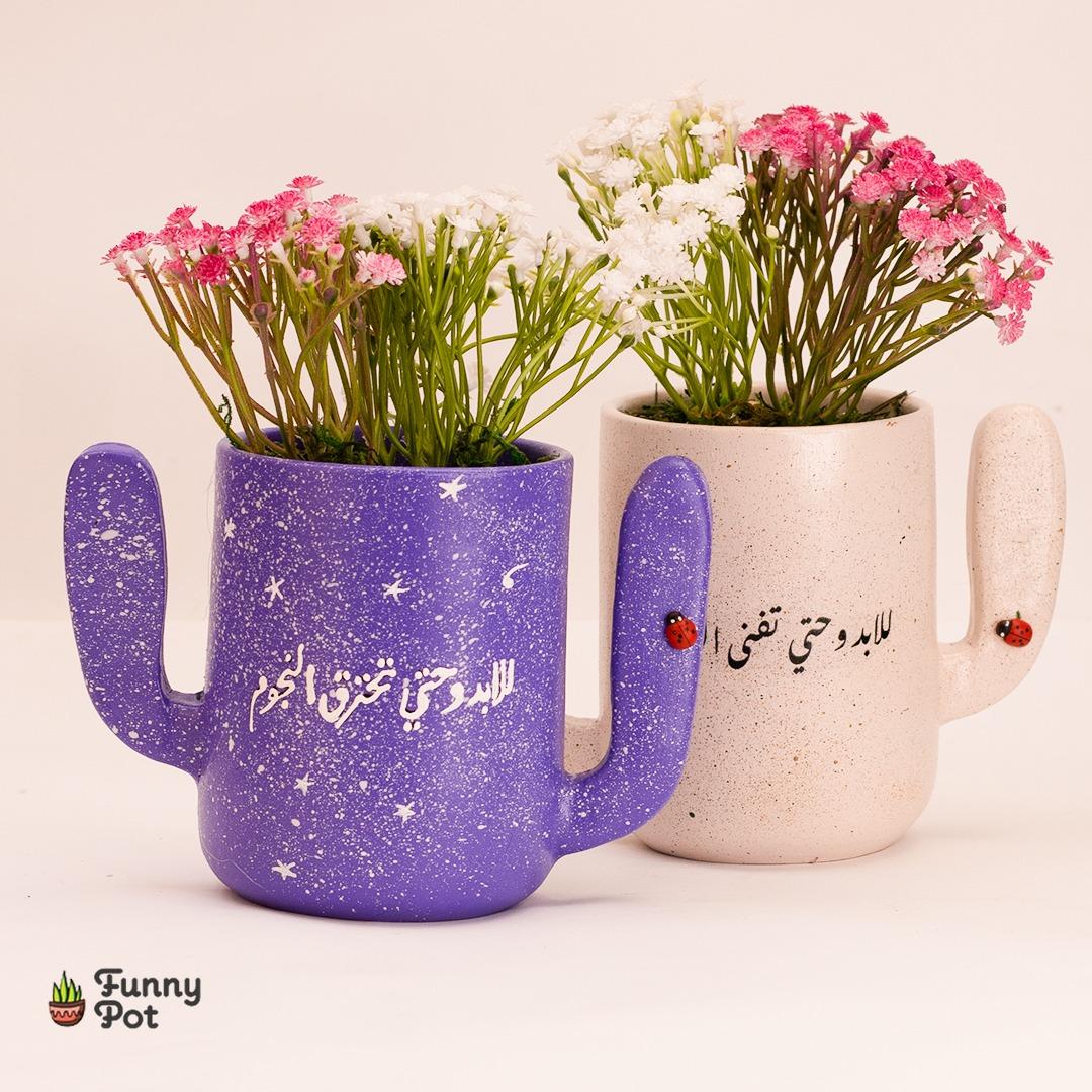 بوت صبارة نبات صناعي