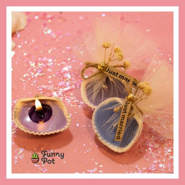 توزيعات قواقع طبيعيه