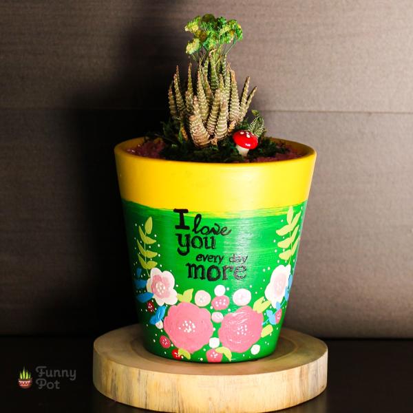 بوت بالصبار الطبيعي