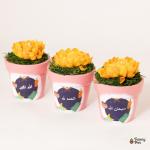 بوت نبات صناعي 3