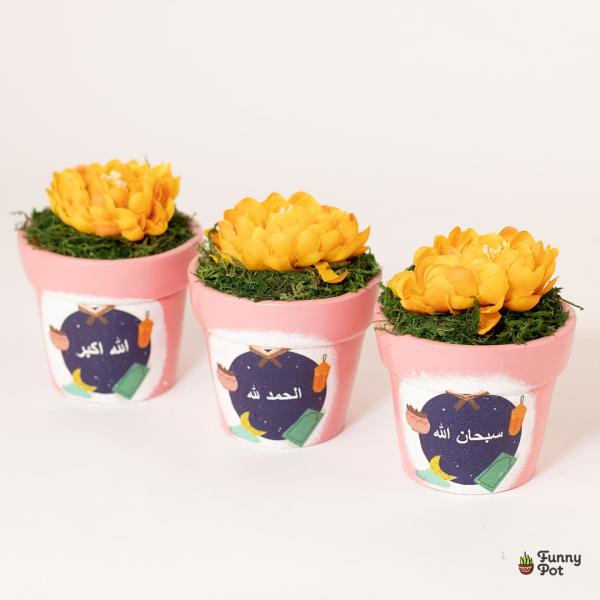 بوت نبات صناعي 3