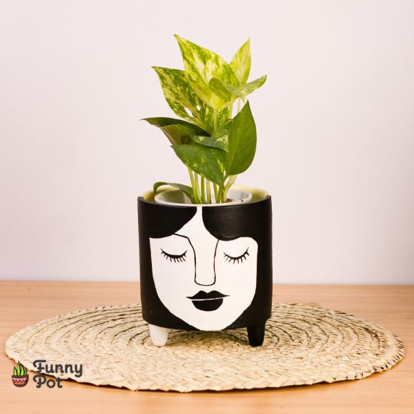 بوت بالبوتس الطبيعي