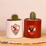 بوت بالصبار الطبيعي