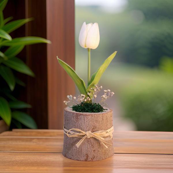 بوت جزع شجر طبيعي