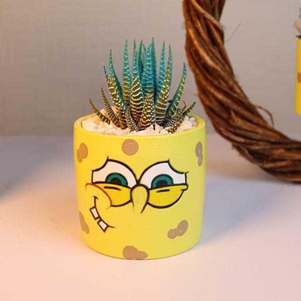 صبار في بوت سبونش بوب