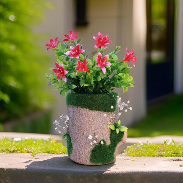 بوت جزع شجر طبيعي