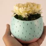 بوت نبات صناعي