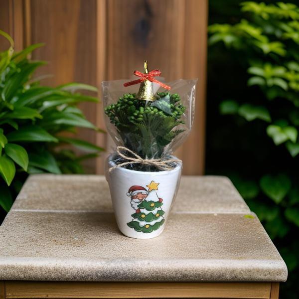 بوت نبات صناعي