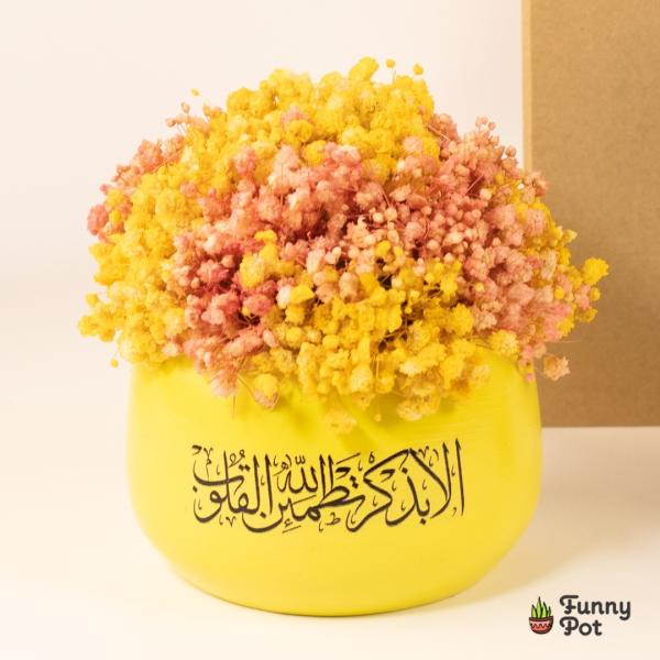 بوت بيبي فلاور