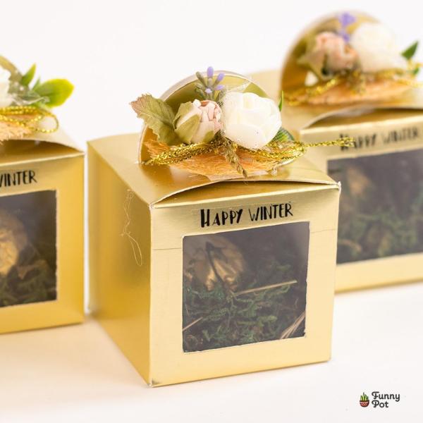 توزيعات بوكس شيكولاته