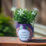 بوت نبات صناعي