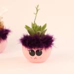 صبار في بوت ملون