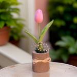 بوت جزع شجر طبيعي