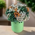 بوت بيبي فلاور