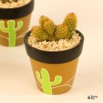 صبار في بوت ملون