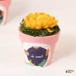 بوت نبات صناعي 3