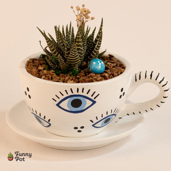 بوت فنجان بالطبق في صبار طبيعي