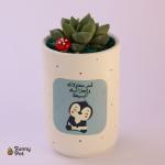 بوت هاند ميد بالصبار الطبيعي