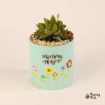 صبار في بوت فخار  ملون