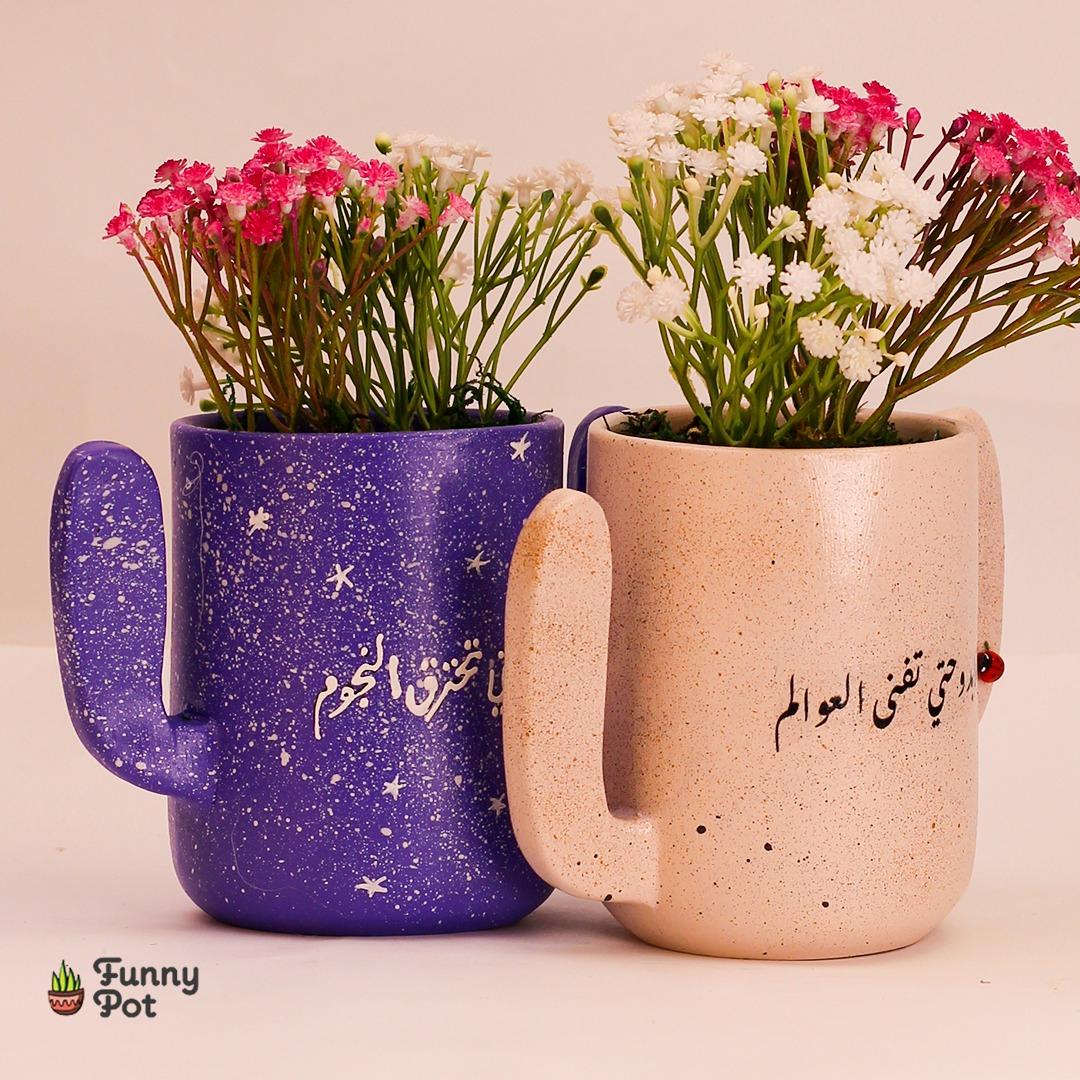 بوت صبارة نبات صناعي