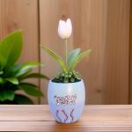 بوت نبات صناعي