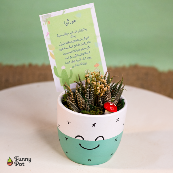 بوت فخار كيوت صبار طبيعي