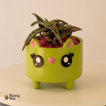 بوت  هاند ميد بالصبار الطبيعي