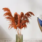 بامبوس ناعم مجفف