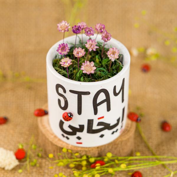 كريزي فلاور