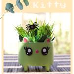 بوت كيتي نبات صناعي