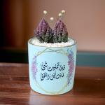 صبار في بوت ملون