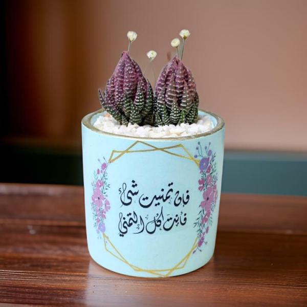 صبار في بوت ملون