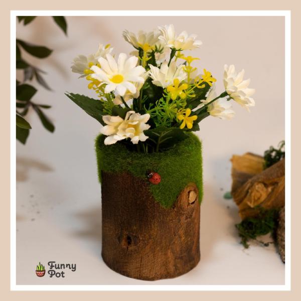 بوت جزع شجر طبيعي