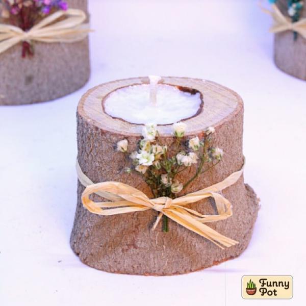 جزع شجر شمع