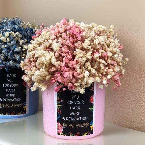 بوت بيبي فلاور