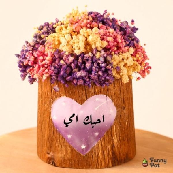 بوت جزع شجر  بيبي فلاور