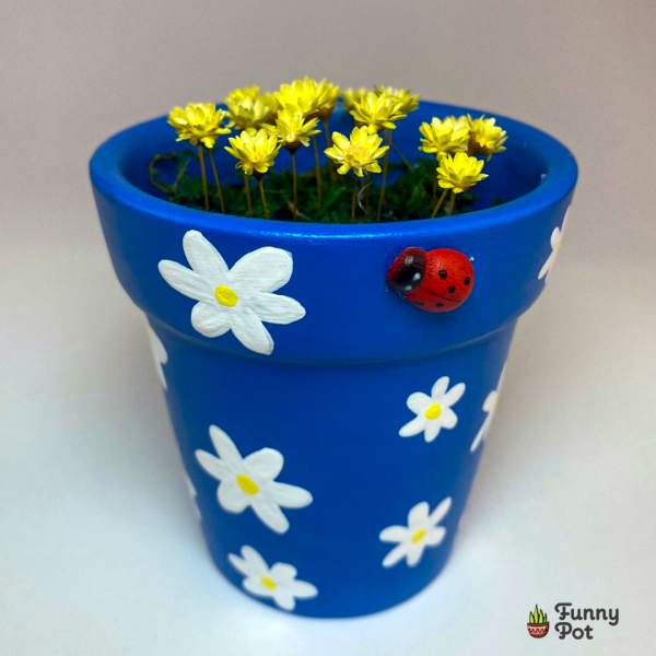 كريزي فلاور